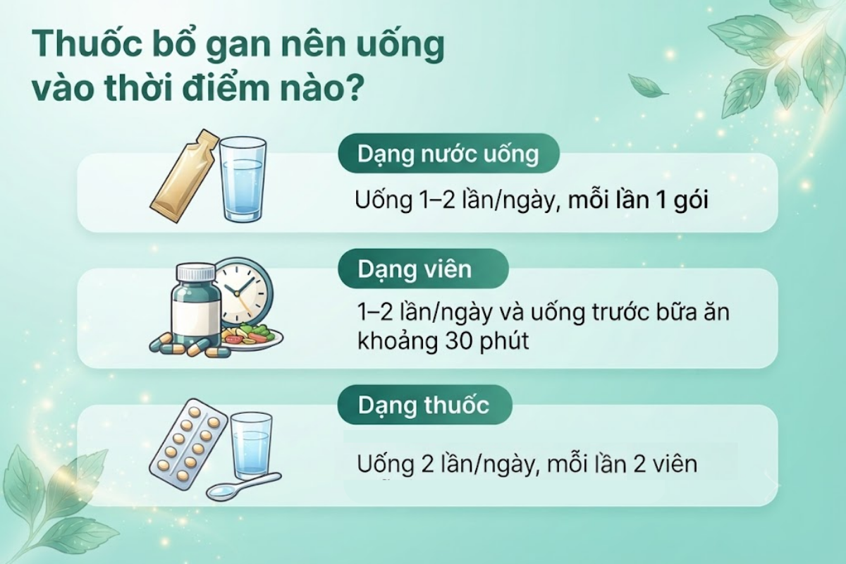 Thuốc bổ gan nên uống vào thời điểm nào?